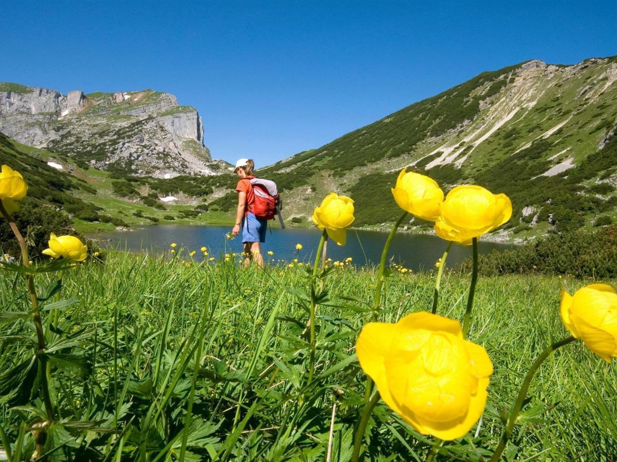 Apartment Near The Ski Area And Lake Reith im Alpbachtal Exteriér fotografie